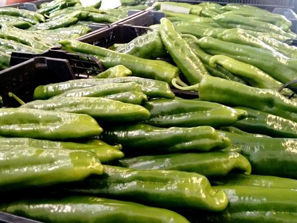 pimientos