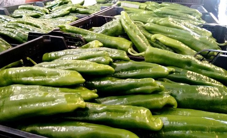pimientos