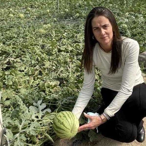 Campaña No Cortes en Verde sandía