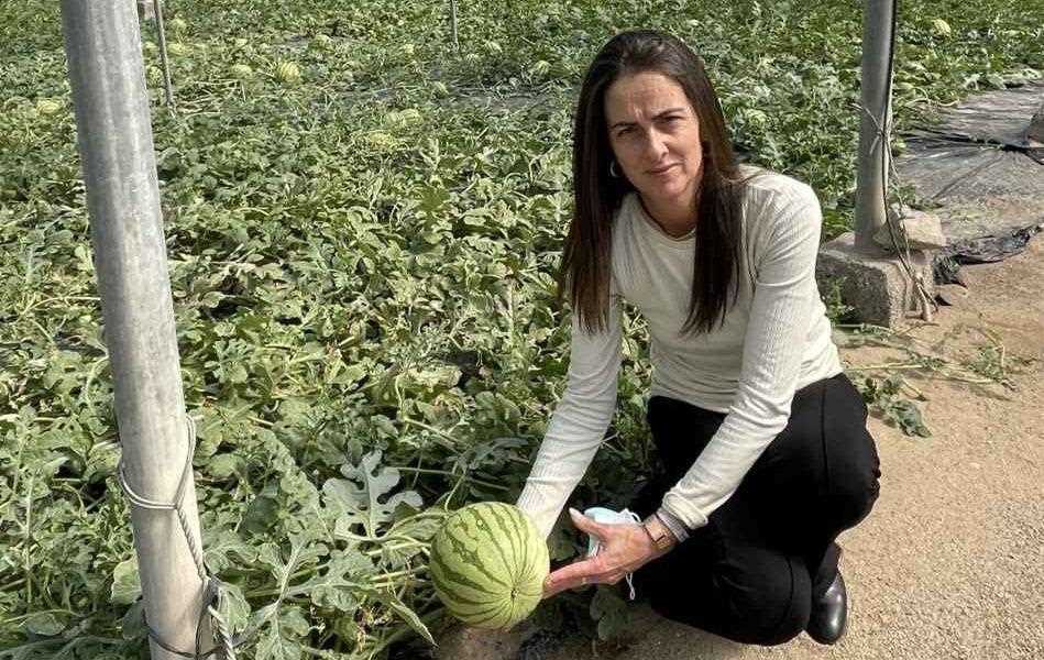 Campaña No Cortes en Verde sandía