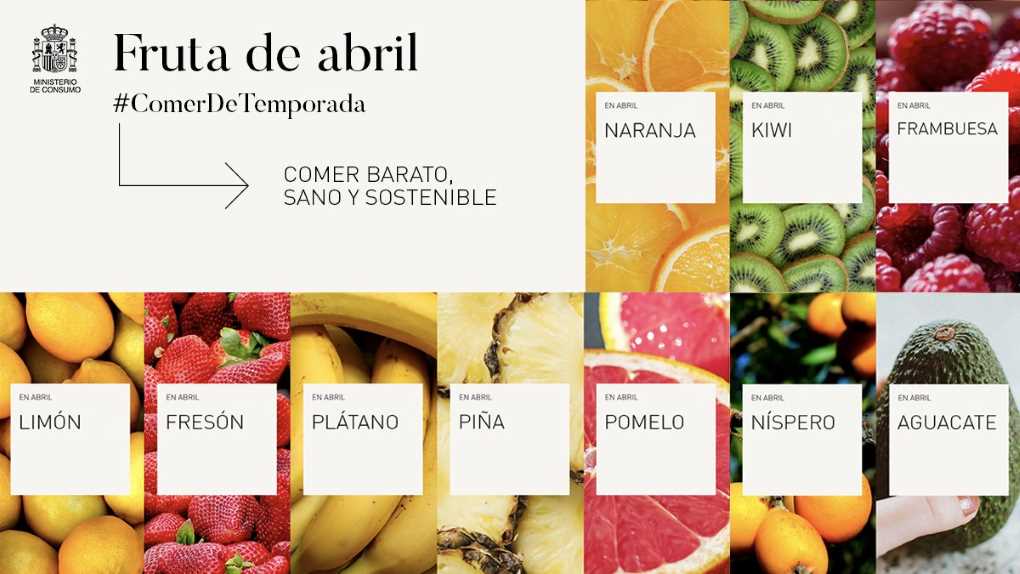 MINISTERIO CONSUMO