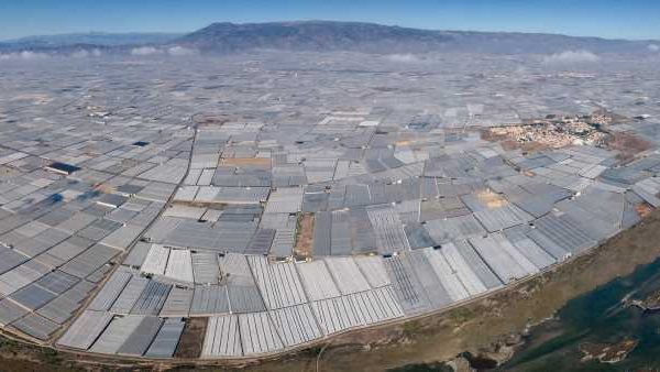 Panorámica invernaderos