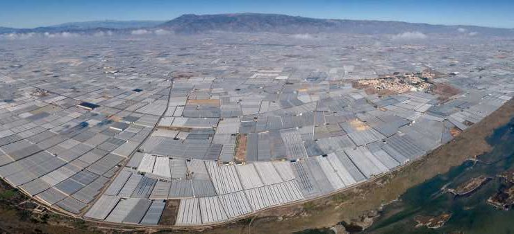 Panorámica invernaderos