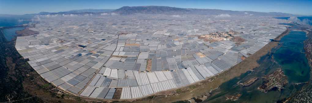 Panorámica invernaderos