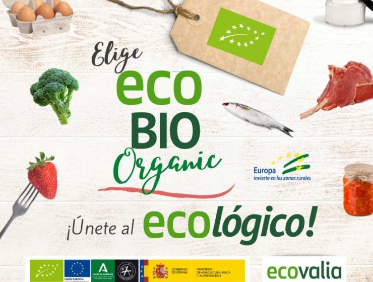 campaña ecovalia