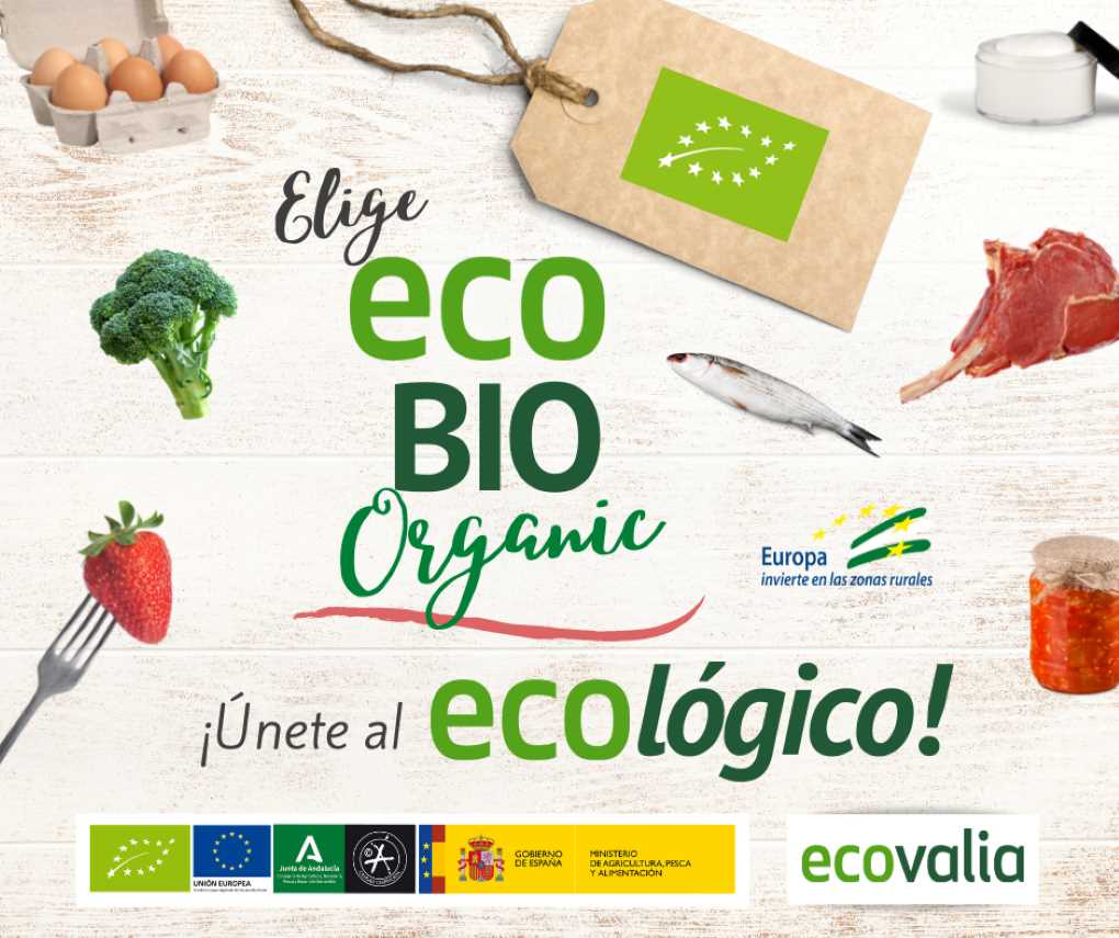campaña ecovalia