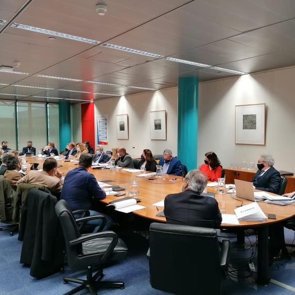 comision fepex