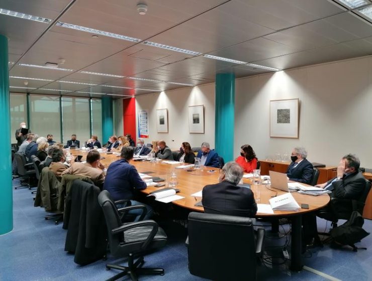 comision fepex