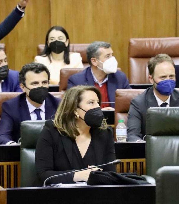 decreto andaluz sequía