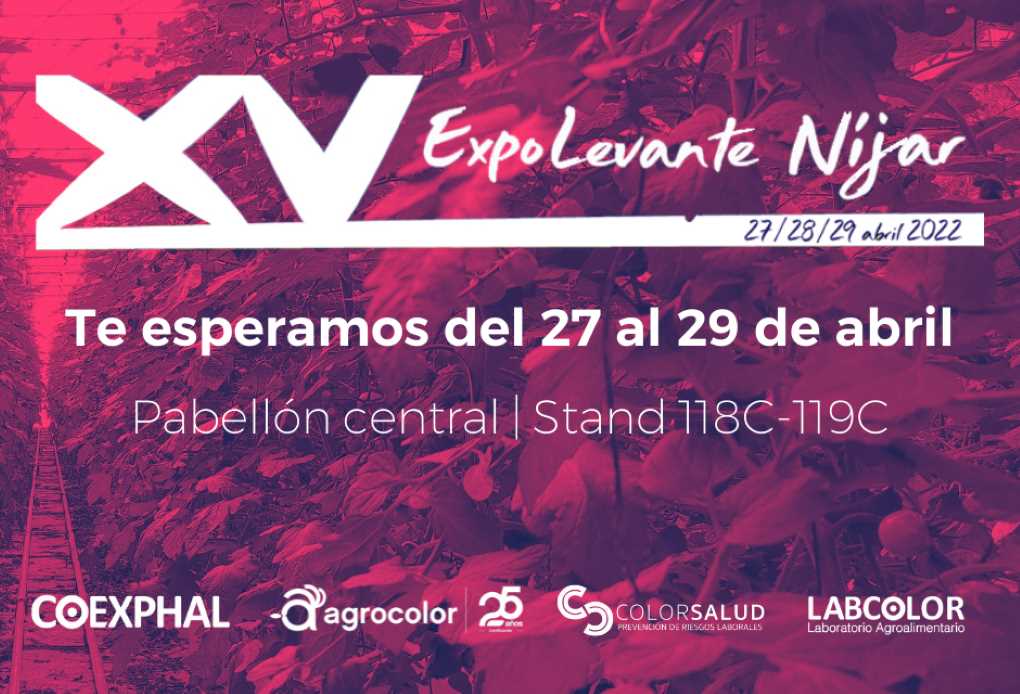 expo levante