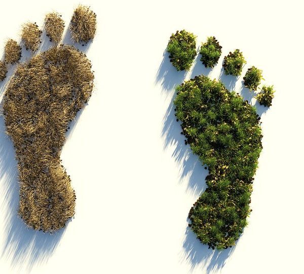 huella ambiental