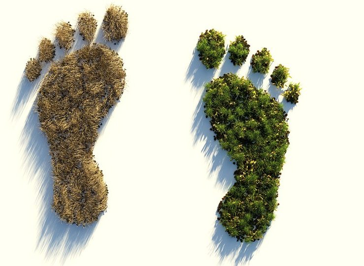 huella ambiental