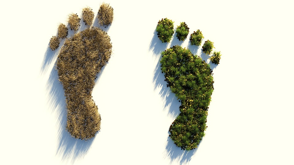 huella ambiental