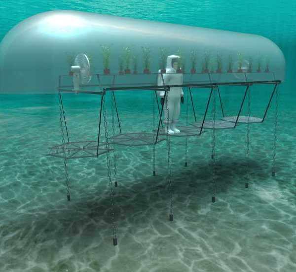 invernadero submarino