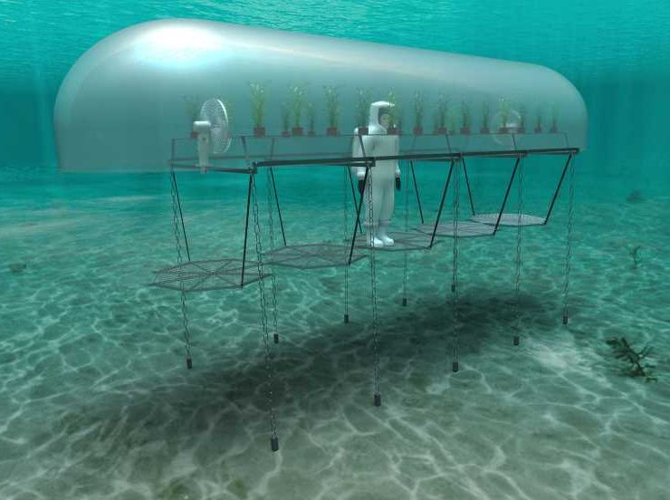 invernadero submarino