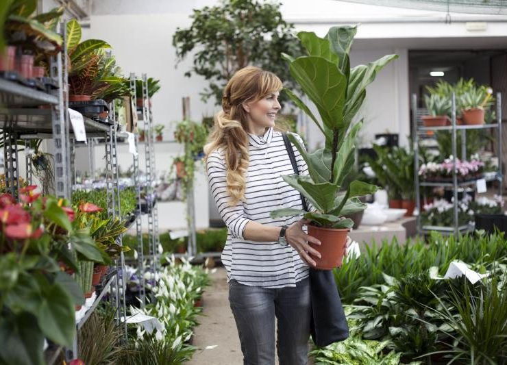 mujer planta