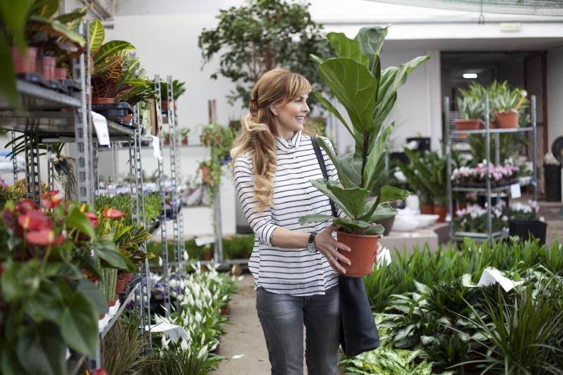mujer planta
