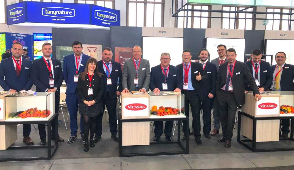 vicasol_fruit logistica