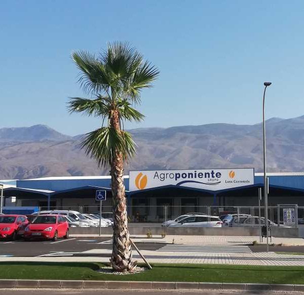 AGROPONIENTE