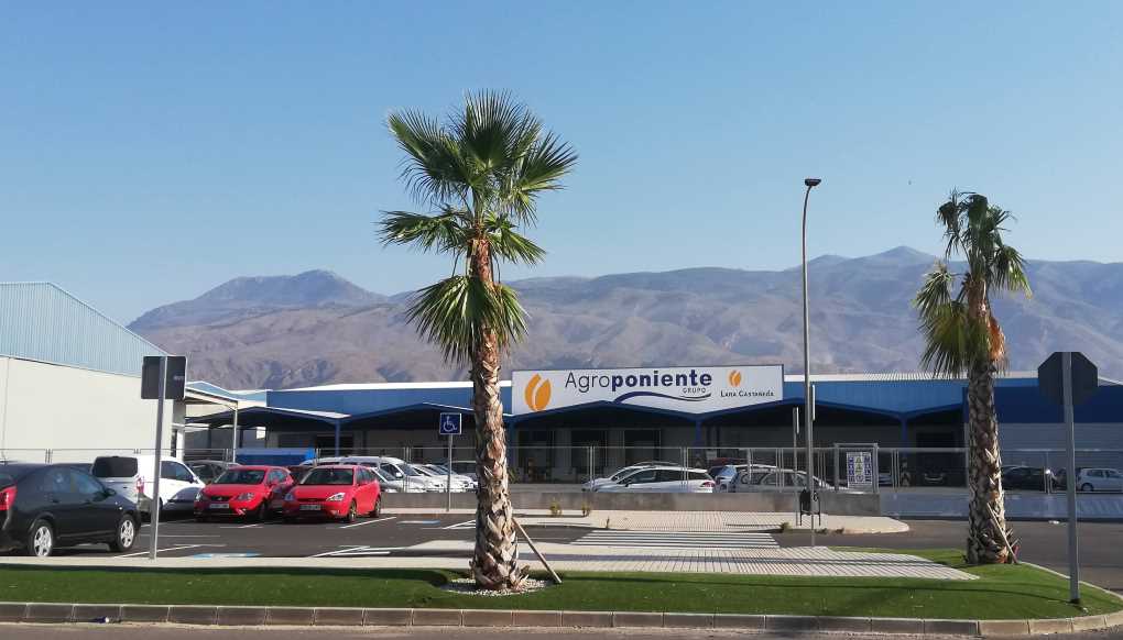 AGROPONIENTE