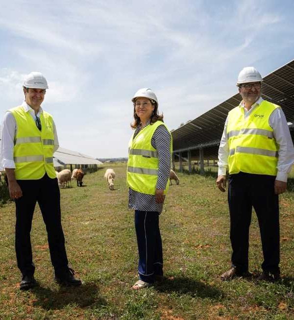 Endesa PLanta Solar Carmona