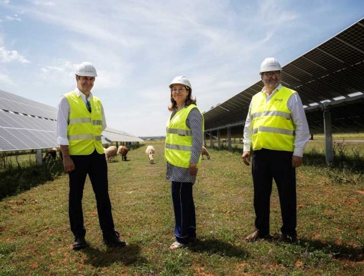 Endesa PLanta Solar Carmona