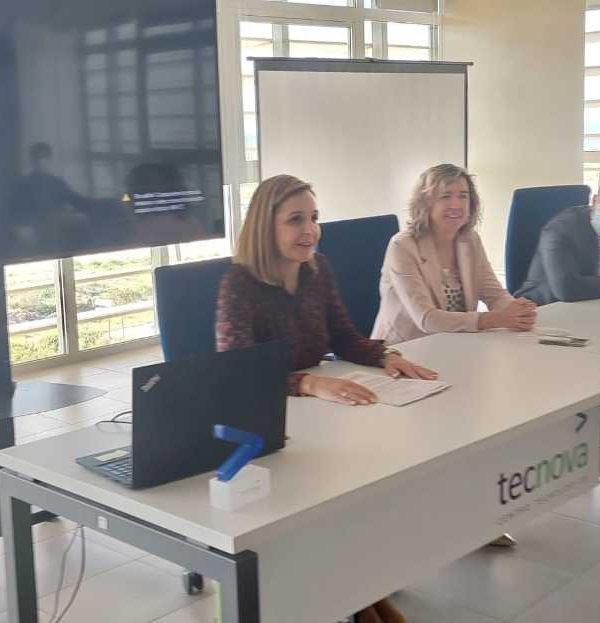 Extenda industria auxiliar