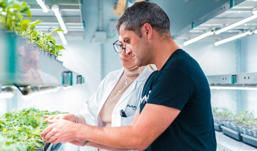 Félix García Moreno, CEO de Kimitec y MAAVi ok