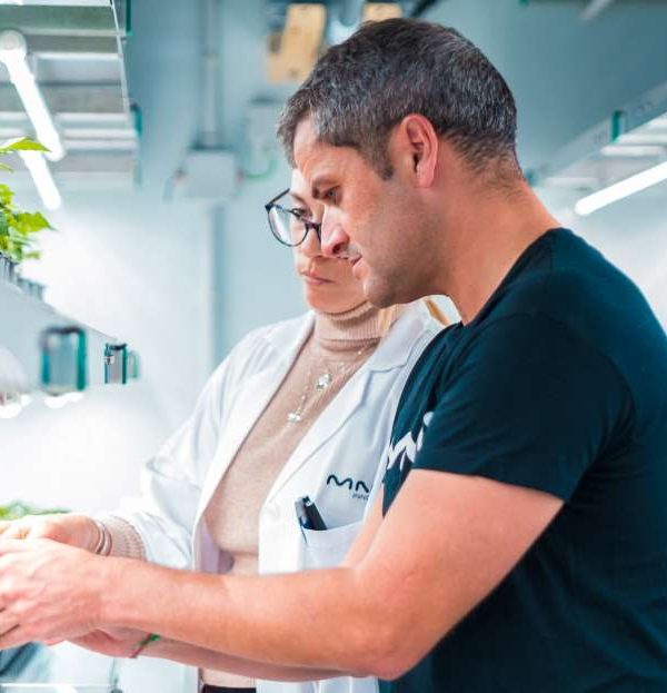Félix García Moreno, CEO de Kimitec y MAAVi ok