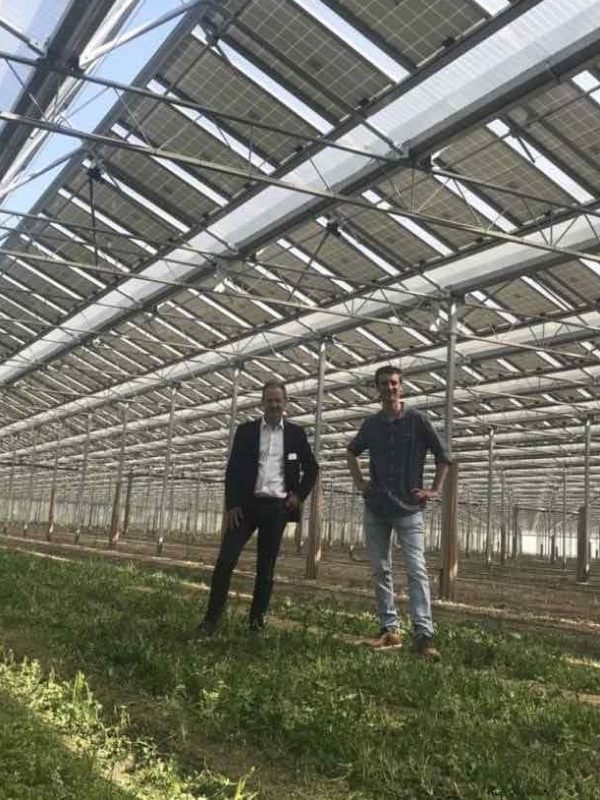 Invernadero-fofovoltaico-esparragos