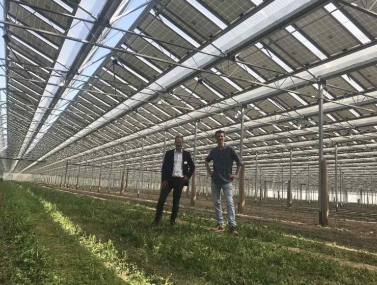 Invernadero-fofovoltaico-esparragos