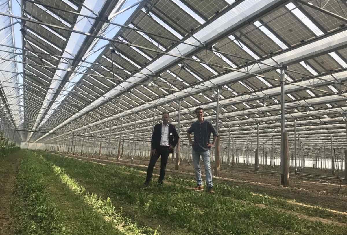 Invernadero-fofovoltaico-esparragos