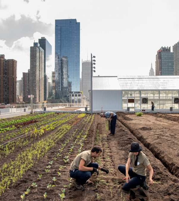 Javits Center granja