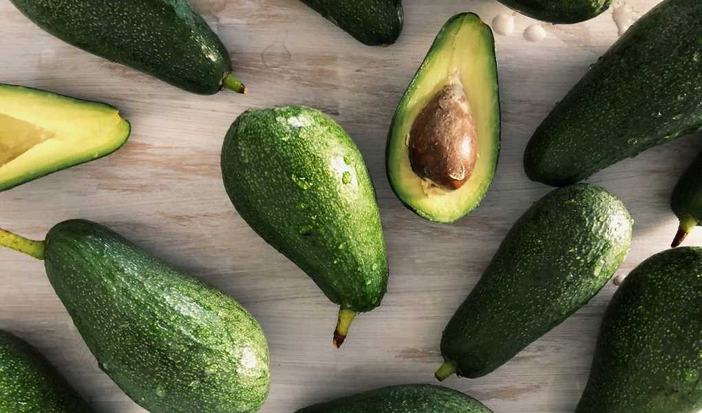aguacate