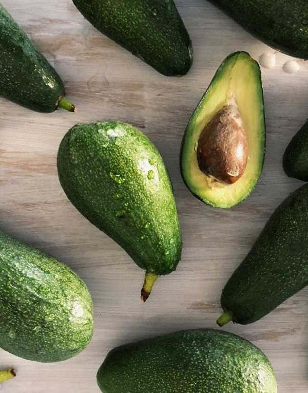 aguacate