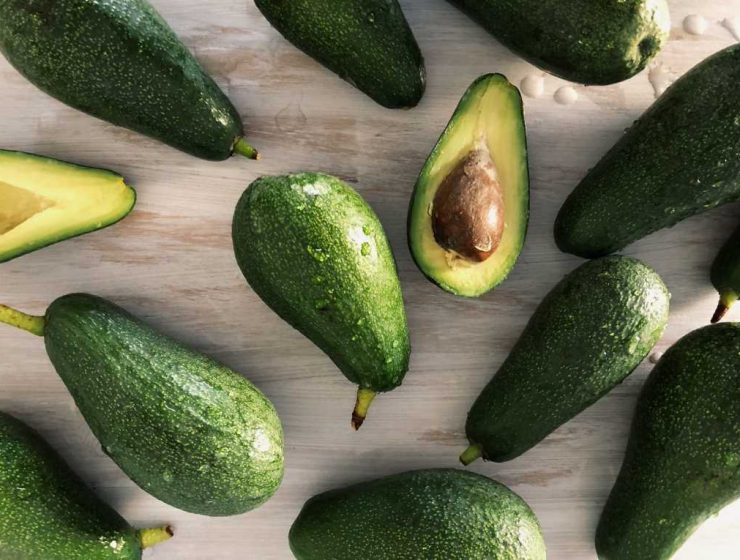 aguacate