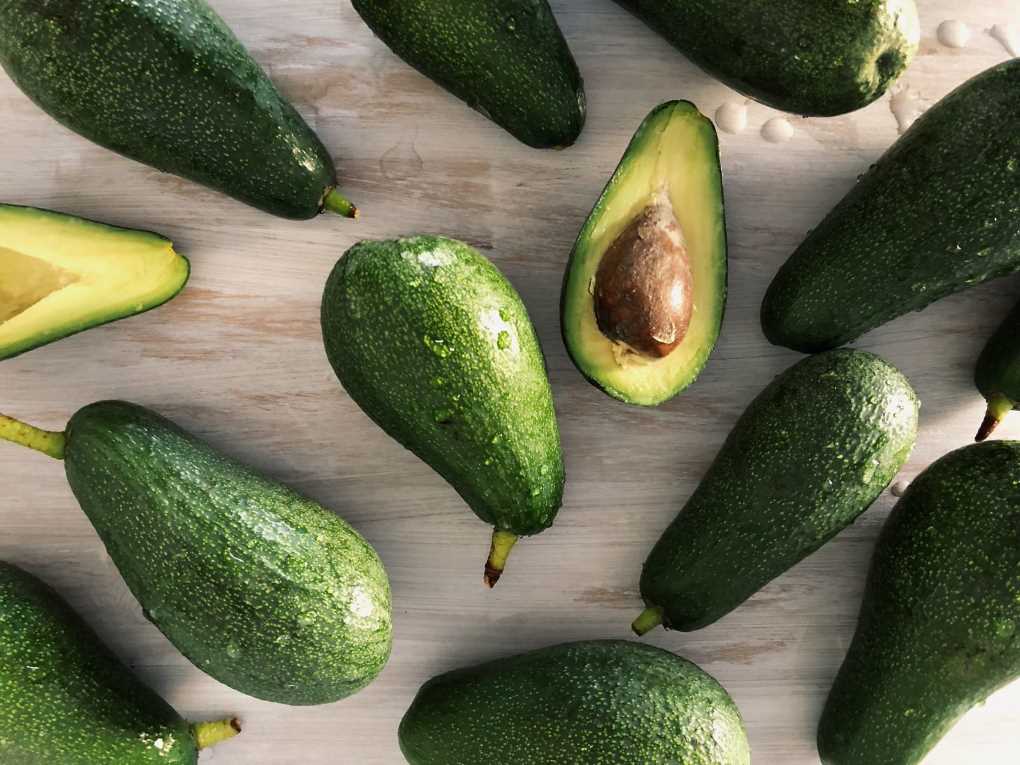 aguacate