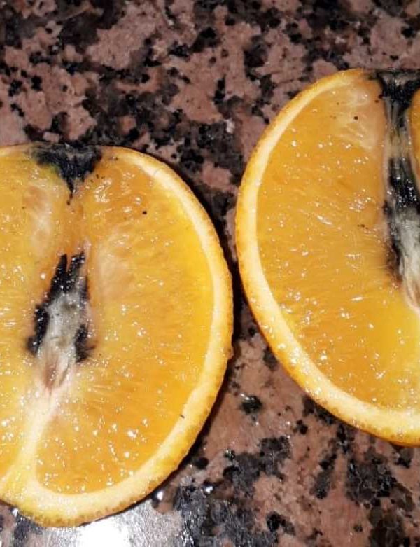 cítricos cotonet