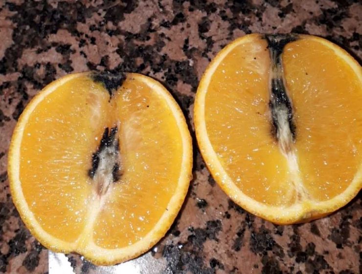 cítricos cotonet