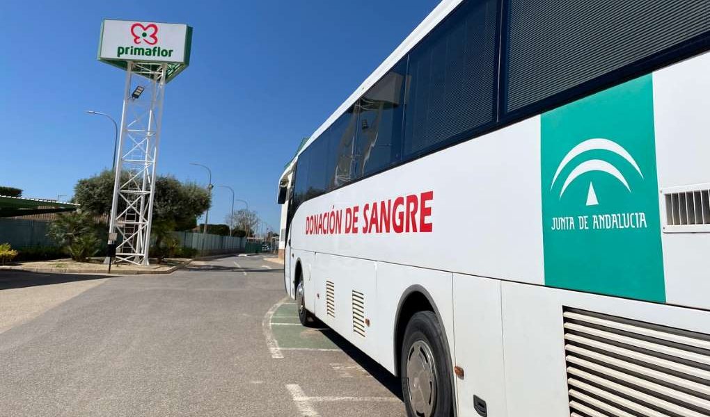 donación de sangre