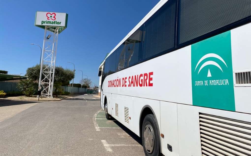 donación de sangre