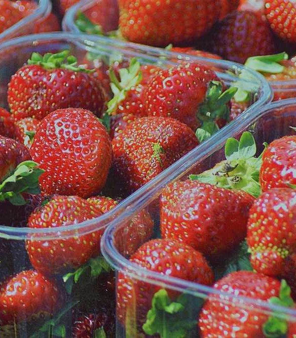 fresas