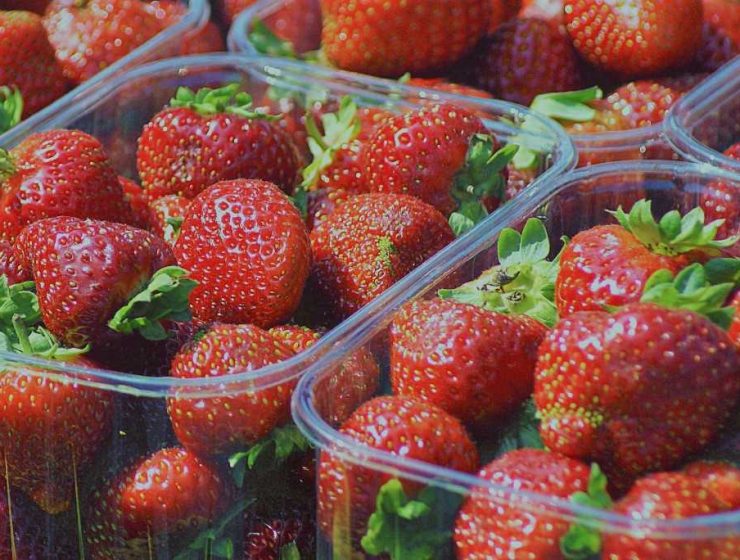fresas