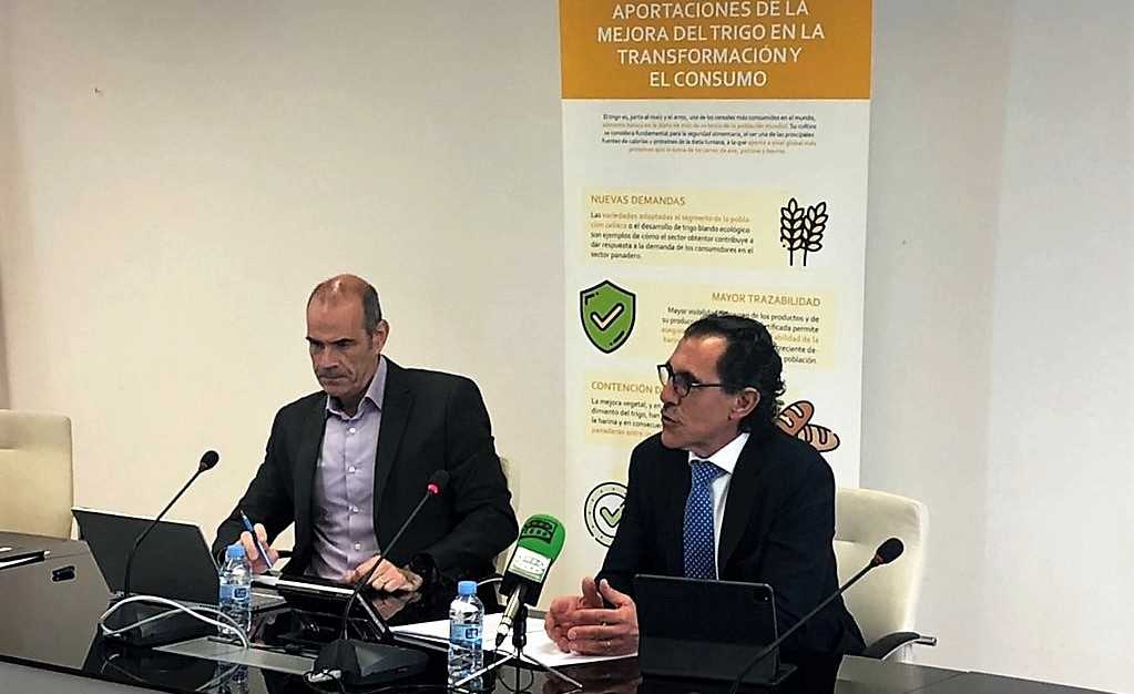 rueda de prensa trigo 