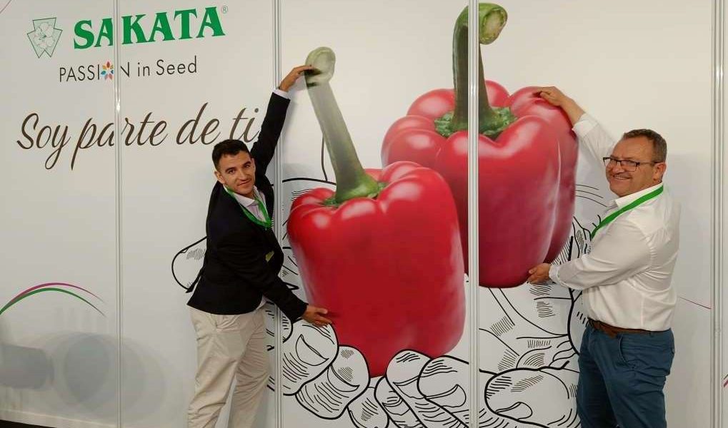 sakata expolevante
