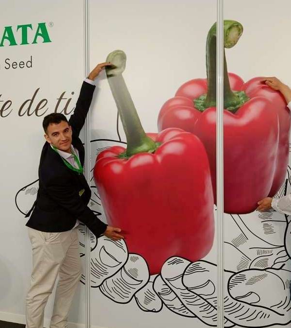 sakata expolevante