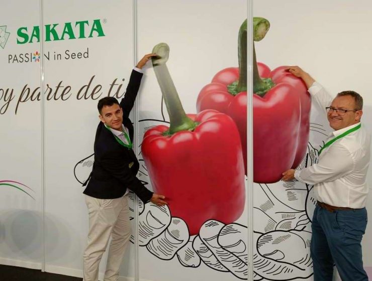sakata expolevante