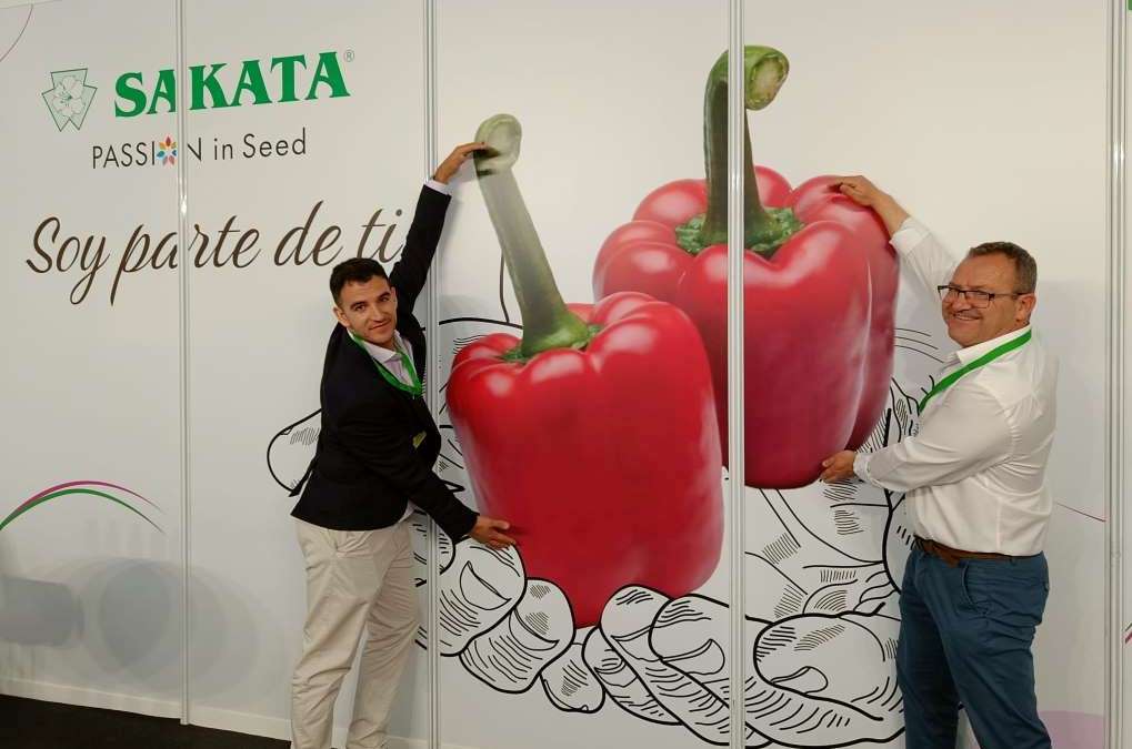 sakata expolevante