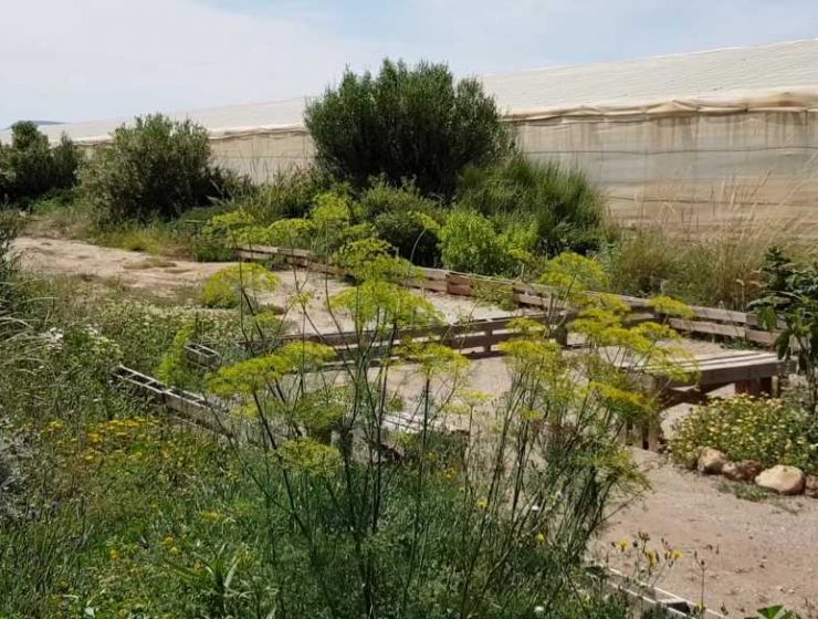 setos biodiversidad