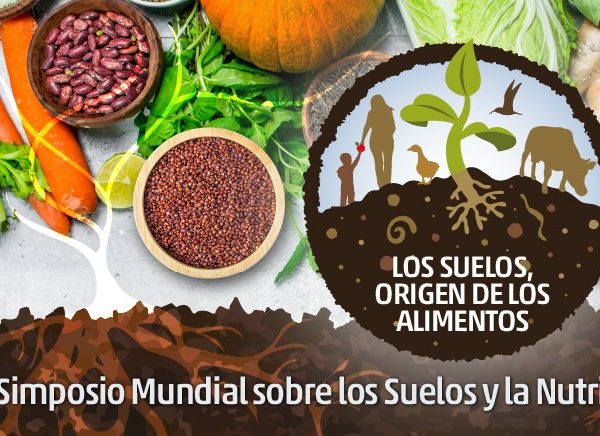 simposio suelo
